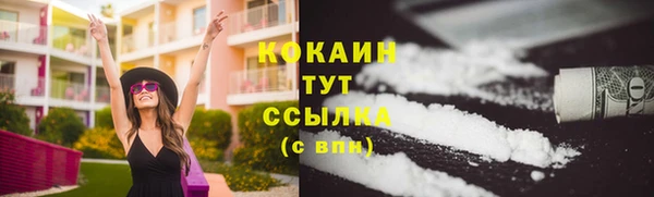 прущий лед Инта