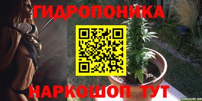 a pvp Камышлов