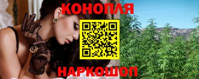a pvp Камышлов