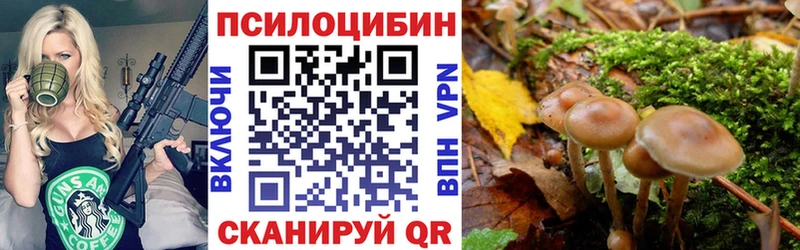 как найти закладки  Славгород  ссылка на мегу как зайти  Псилоцибиновые грибы мицелий 