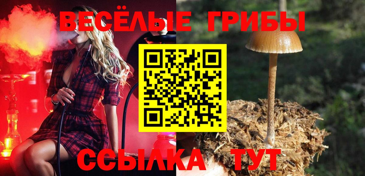 Галлюциногенные грибы MAGIC MUSHROOMS  Псилоцибиновые грибы Magic Shrooms  Славгород  Вход с VPN 