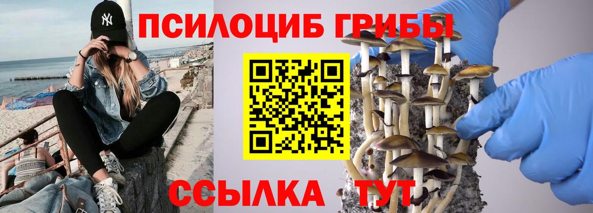 Псилоцибиновые грибы ЛСД Славгород