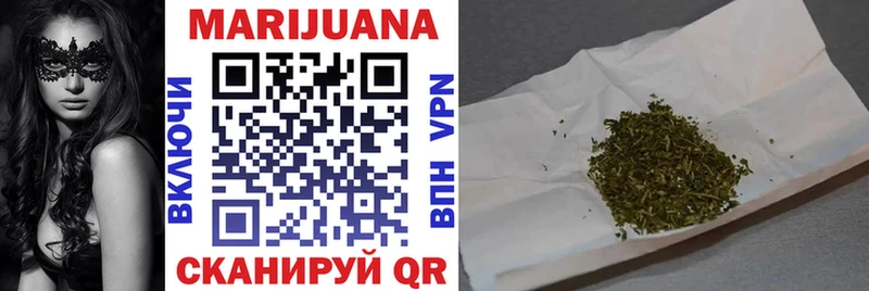 Каннабис сатива Славгород